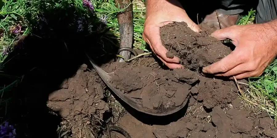 Illustrative image of Organic soil management in Orange California